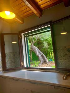 uma janela num quarto com uma árvore vista através dele em Casa Magnolia em Augusta