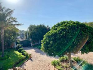 Photo de la galerie de l'établissement Casa Magnolia, à Augusta