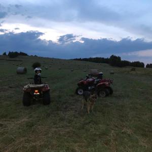 Hostia v ubytovaní Restauracja i Noclegi Izba Rybacka w Krainie Wygasłych Wulkanów