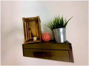 eine kleine Holzkiste mit einer Topfpflanze darauf in der Unterkunft Pension Miss Sophie in Kyritz