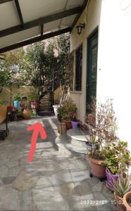 Fotografie z fotogalerie ubytování La Casita v Aténách
