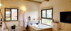 Tal Shaẖarצימר חלון לרקפות zimer Window for primroses עם ג'קוזי לנוף的带浴缸、电视和窗户的浴室