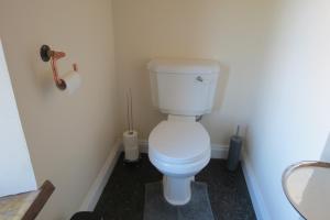 a bathroom with a white toilet in a room at Farthing Cottage in Bishop Auckland