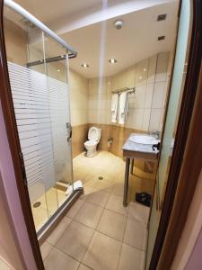 y baño con ducha, aseo y lavamanos. en Hotel Alysa Korce, en Korçë