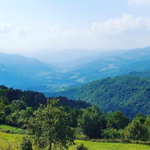 Príroda v okolí dovolenkového domu