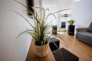 a potted plant sitting on a table in a living room at Dimora al Mulino in Matera