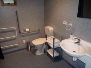 a bathroom with a toilet and a sink at Lesley's Bed and Breakfast in Cromwell