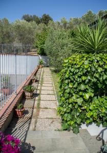 un giardino con recinzione e alcune piante di Casa d'aMare - a 600 mt dalla spiaggia a Follonica