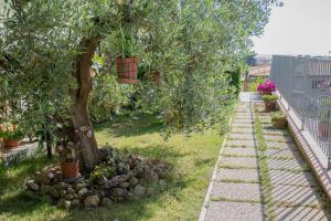 a garden with a tree and a stone path at Casa d'aMare - a 600 mt dalla spiaggia in Follonica