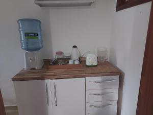 cocina con encimera y licuadora en Apartamento em Lençóis Serrano 101, en Lençóis