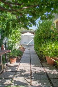 un sentiero da giardino con piante e ombrellone di Casa d'aMare - a 600 mt dalla spiaggia a Follonica