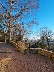 a brick walkway with a stone wall and a tree at LANGHE PARADISOT in Niella Belbo