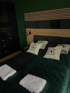 Postel nebo postele na pokoji v ubytování Apartamenty Termalne GREEN Apartment