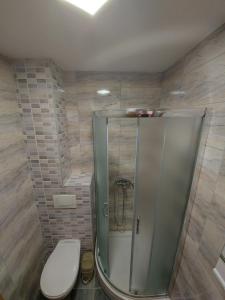 a bathroom with a shower and a toilet in it at Ekskluziv apartmani in Paraćin