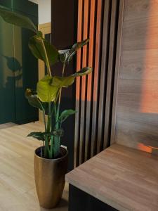 Fotografie z fotogalerie ubytování Apartamenty Termalne GREEN Apartment v destinaci Uniejow