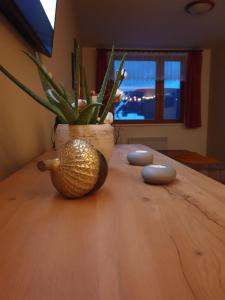 a table with a potted plant and a vase on it at Apartmá Ráj v Ramzové in Ostružná