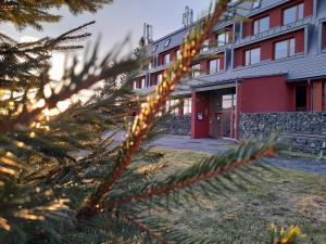 a christmas tree in front of a building at Apartmá Ráj v Ramzové in Ostružná