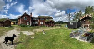 a dog and a cat in front of a house at Kvebergsøya Gard in Grimsbu