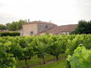 Saint-Genès-de-BlayeChai Crann Piorra的相册照片