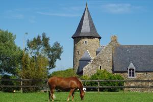 a horse grazing in a field in front of a castle at Dépendance de charme totalement rénovée in Saint-Cast-le-Guildo