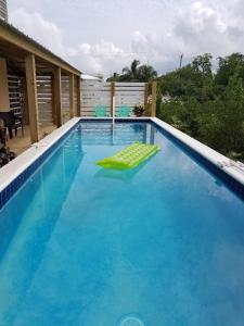 a large blue swimming pool with a green chair in it at The BNB on Triggerfish Close to the airport in Ladyville