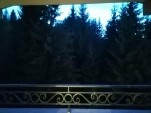Gambar di galeri bagi Apartman Zlatar Omiljena di Nova Varoš