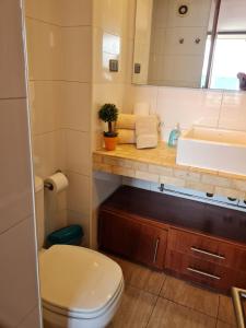 een badkamer met een wastafel en een toilet bij Departamentos Pontoni Escuela Militar in Santiago