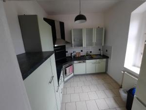 eine Küche mit Spüle und Herd oberen Backofen in der Unterkunft Gwuni's Farm in Geithain