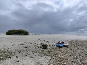 Paesaggio naturale nelle vicinanze della stanza in casa privata