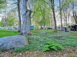 Afbeelding uit fotogalerij van 7 person holiday home in SÖLVESBORG-By Traum in Sölvesborg +27 foto's