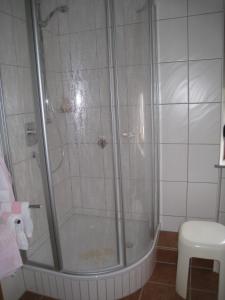 a shower with a glass door in a bathroom at Ferienweingut Arnold Thiesen in Bruttig-Fankel