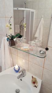 een badkamer met een wastafel en een glazen plank boven een spiegel bij Apartment Ana in Kali