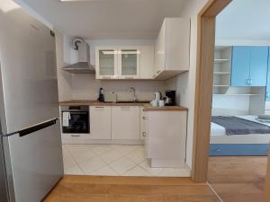 Kuchyňa alebo kuchynka v ubytovaní Apartment Crikva