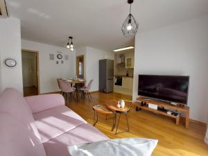 Televízia a/alebo spoločenská miestnosť v ubytovaní Apartment Crikva