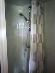 a shower with a shower curtain in a bathroom at Le Cabanon in Lacrouzette