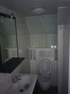 LacrouzetteにあるLe Cabanonのバスルーム(トイレ、洗面台、鏡付)