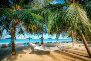 eine Hängematte am Strand mit Palmen und dem Meer in der Unterkunft Khanom Sea Beach Resort in Nakhon Si Thammarat