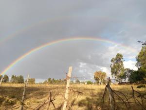 a rainbow in the sky over a field at Sipili Village Residence in Nyahururu