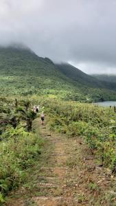 a group of people walking down a grassy hill at Roseau Hostel & Beach Front Property in Roseau