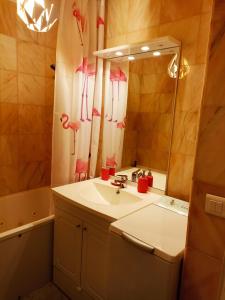 y baño con lavabo y espejo. en St Nectaire- Appartement Terrasse Privée- 4 personnes en Saint-Nectaire