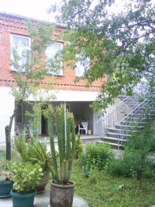 a house with some plants in front of it at Guesthouse Gegi in Kutaisi