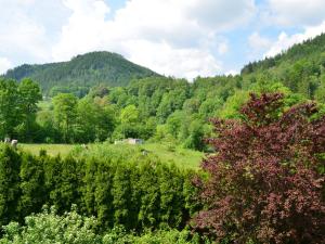 un campo con árboles y una montaña en el fondo en Wohnen am Kurpark Bad Wildbad, en Bad Wildbad
