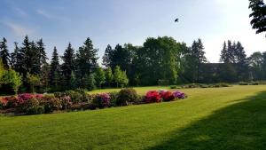 Vonkajšia záhrada v ubytovaní Hotel Floret