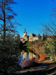 a castle sitting on top of a hill next to a river at Hotel Floret in Prŭhonice