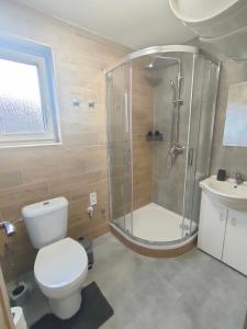 a bathroom with a shower and a toilet and a sink at Chata - Alex in Snina