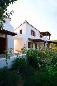 a view of the house from the garden at Studios Calvinos in Marathokampos