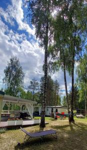 a tree in the middle of a yard with a house at Domki Holenderskie Mazury Leleszki in Leleszki