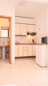 Una cocina o kitchenette en Apartment Villa Businci