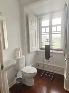 a bathroom with a toilet and a sink and a window at Quinta de São José dos Montes in Ferreira do Zêzere