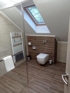 a bathroom with a toilet and a skylight at Mórocz Apartman in Badacsonytomaj